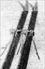 The Bloke skis The Bloke skis, , 1385 Nova vas