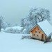 Ecological farm pri Križarju, Tolmin
