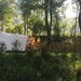 Camping place Koren Kobarid, Kobarid
