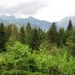 Chalet Planina Bohinj